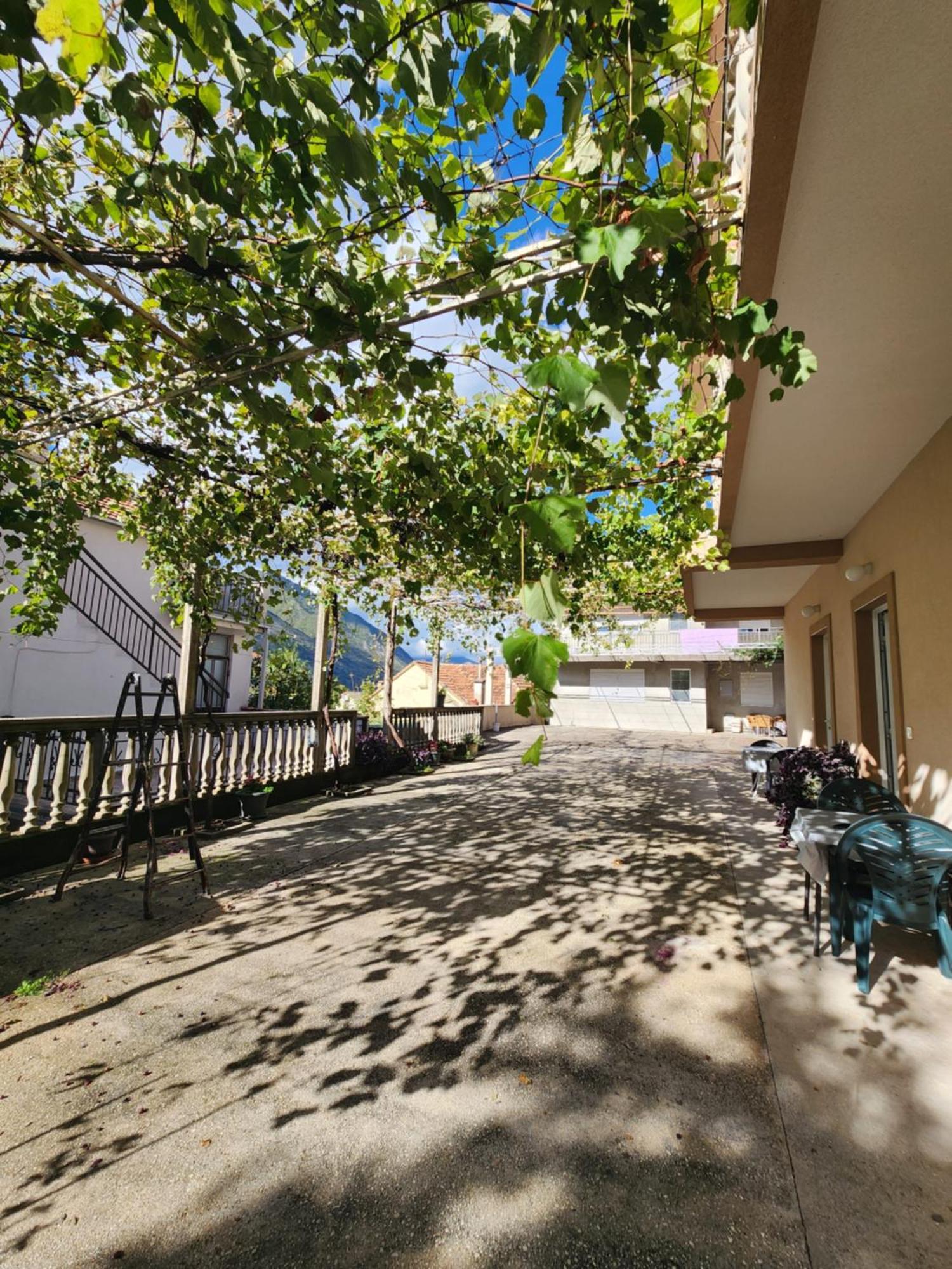 Apartments Zenit Kotor Exterior photo